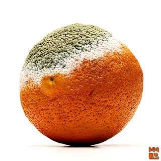 scapa de obezitate, interventii obezitate, consultatie online obezitate, micsorare stomac, inel gastric, pret micsorare stomac,